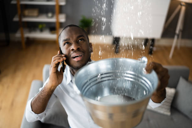 Best Basement water damage restoration  in Loudonville, NY