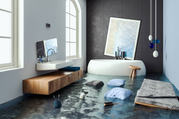Best Professional water damage repair  in Loudonville, NY
