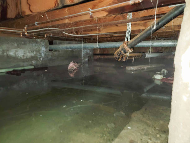 Best Sewage cleanup and water damage restoration  in Loudonville, NY