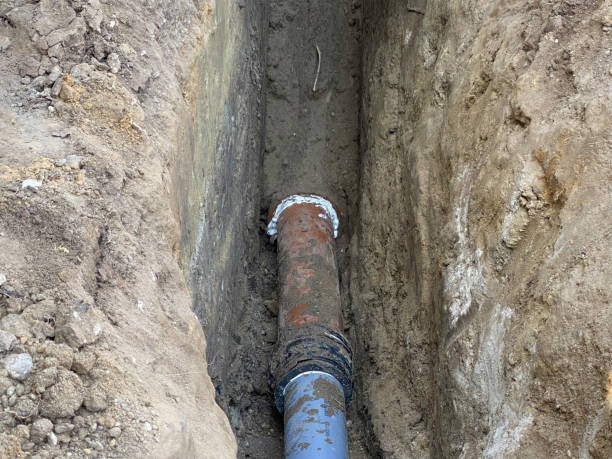 Best Flood damage cleanup  in Loudonville, NY