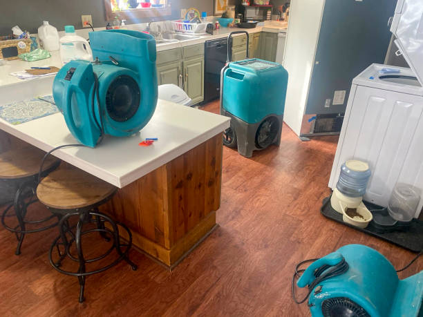 Best 24/7 water damage repair  in Loudonville, NY