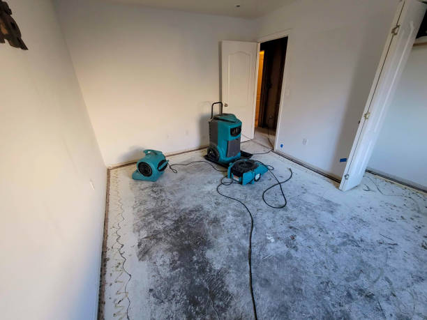 Best Professional water damage repair  in Loudonville, NY