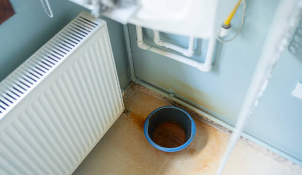 Best Ceiling water damage repair  in Loudonville, NY