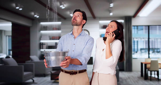 Best Flood restoration services  in Loudonville, NY
