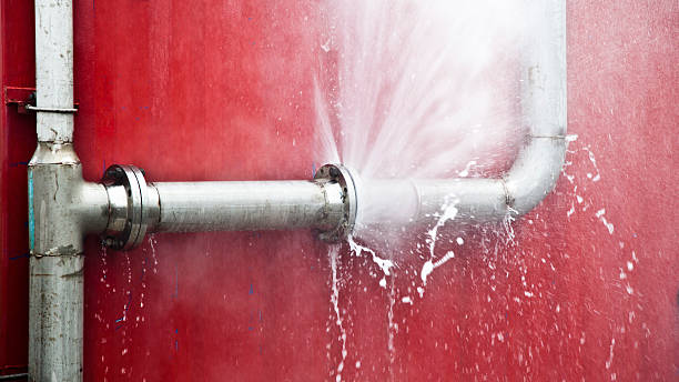 Best Flood damage cleanup  in Loudonville, NY