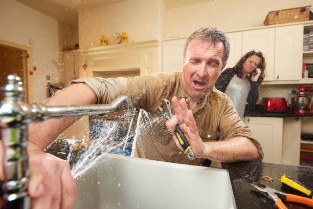 Best Water damage cleanup near me  in Loudonville, NY